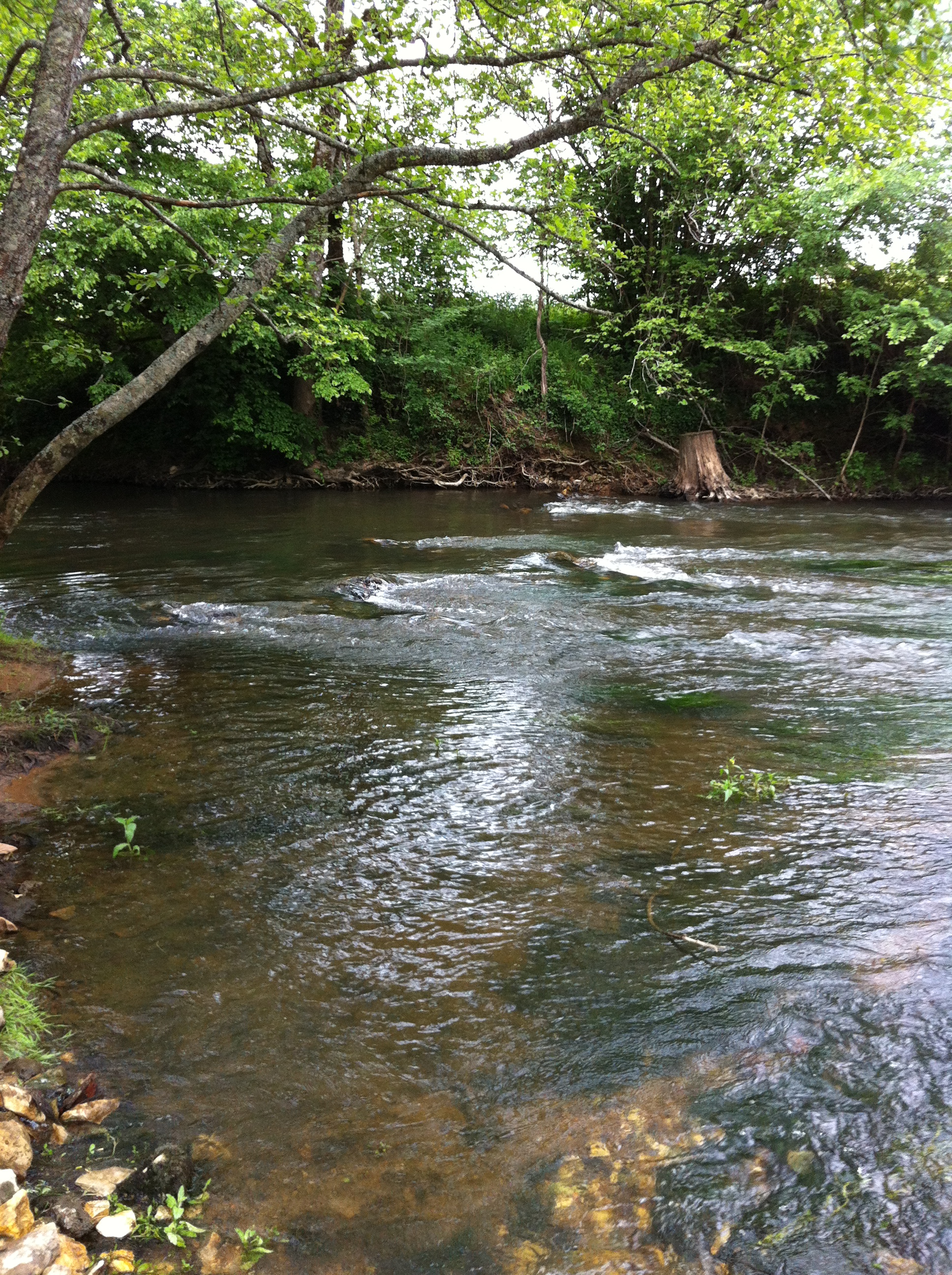 Vacances camping d’Auberoche Dordogne (24)